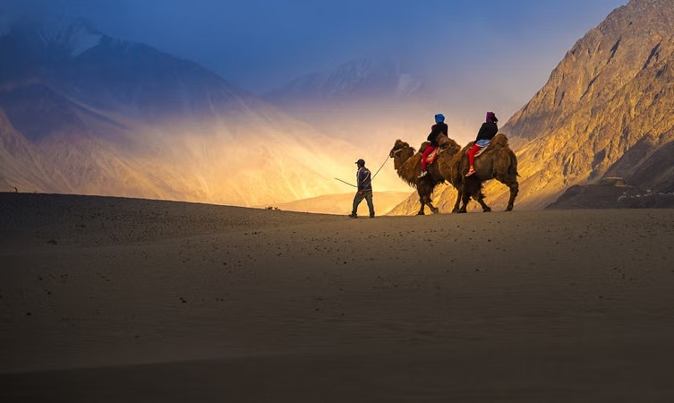 places to stay in Nubra Valley